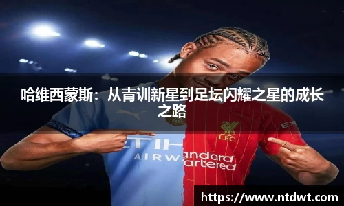 球友体育
