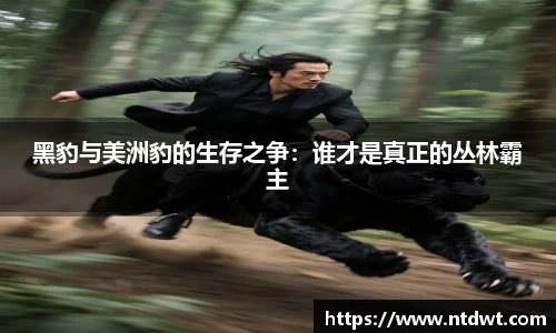 球友直播在线直播